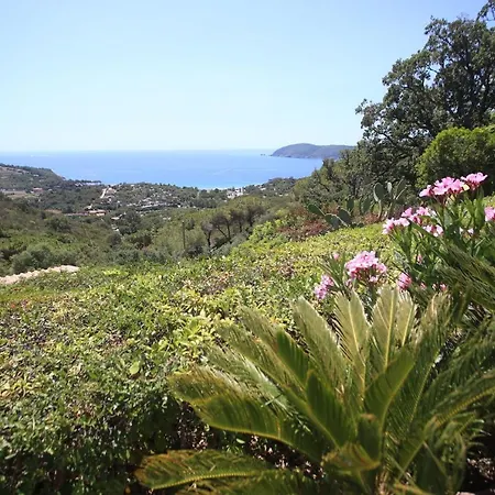 Aparthotel Ca' La Stella Sea-view Porto Azzurro